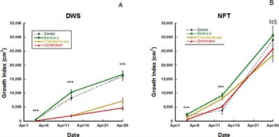 Impacts of Bacillus amyloliquefaciens and Trichoderma spp. on Pac Choi (Brassica rapa var. chinensis) grown in different hydroponic systems